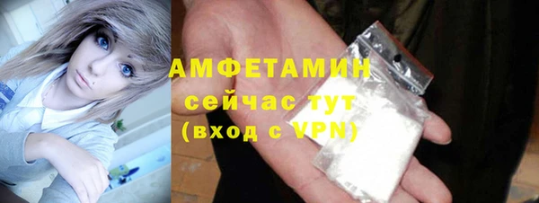 твердый Абаза