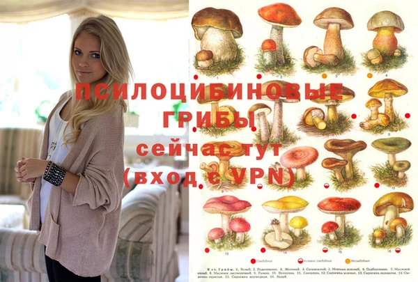 твердый Абаза