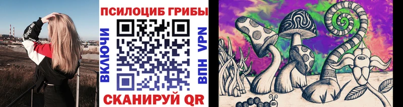 Псилоцибиновые грибы Cubensis  Брюховецкая 